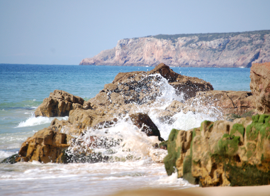 Casa Palmeira, Algarve, Portugal