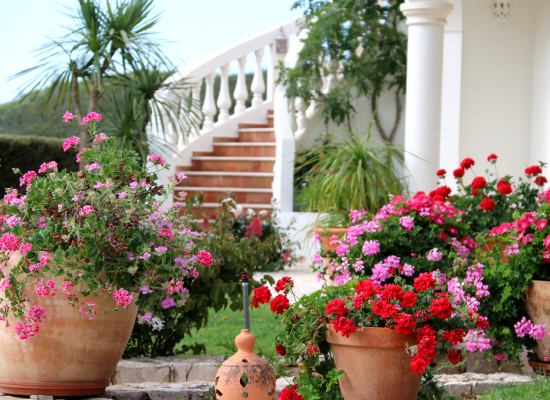 Casa Palmeira, Algarve, Portugal