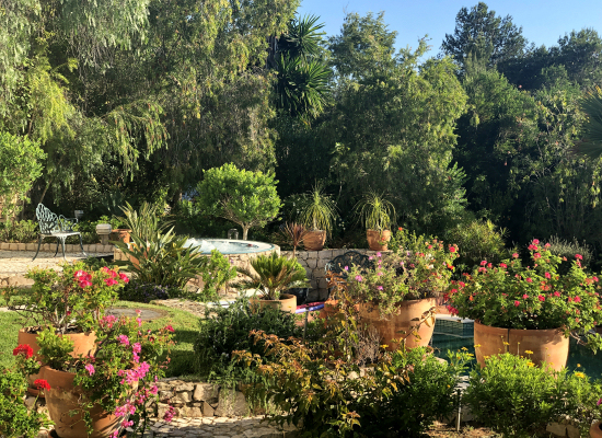 Casa Palmeira, Algarve, Portugal