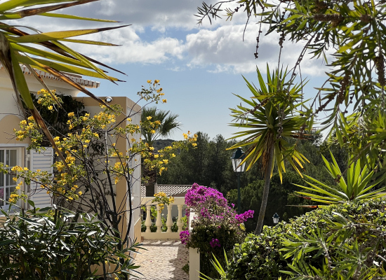 Casa Palmeira, Algarve, Portugal